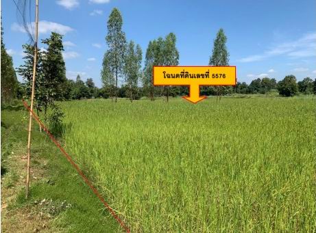 ขายทอดตลาด ที่ดินว่างเปล่า จ.นครราชสีมา