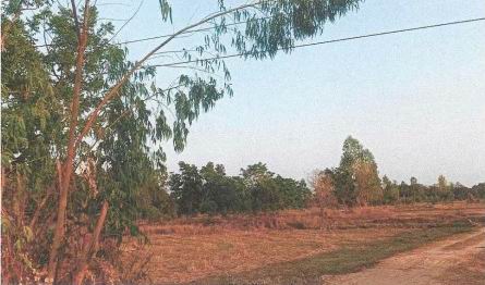 ขายทอดตลาด ที่ดินว่างเปล่า จ.นครราชสีมา