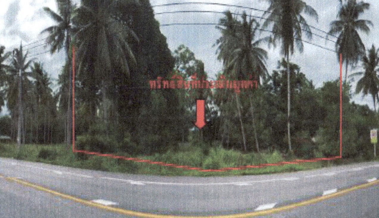 ขายทอดตลาด ที่ดินว่างเปล่า จ.ปัตตานี