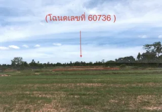 รูปทรัพย์ 4