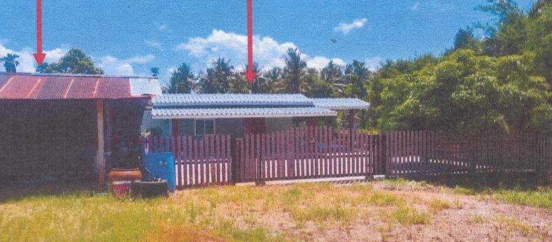 ขายทอดตลาด ที่ดินพร้อมสิ่งปลูกสร้าง ต.บ้านนา อ.เมืองชุมพร จ.ชุมพร
