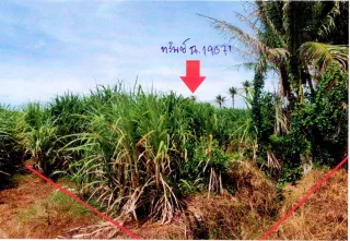 รูปทรัพย์ 1