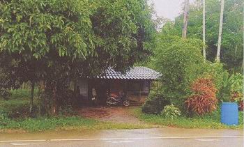 ขายทอดตลาด ที่ดินพร้อมสิ่งปลูกสร้าง ต.บ้านนา อ.ปะเหลียน จ.ตรัง