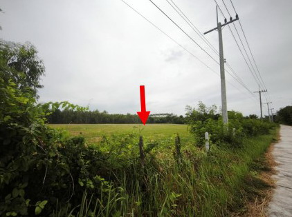 ขายทอดตลาด ที่ดินว่างเปล่า จ.นครราชสีมา