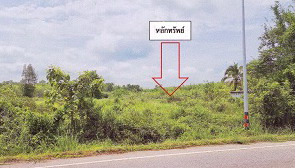 ขายทอดตลาด ที่ดินว่างเปล่า จ.ตรัง
