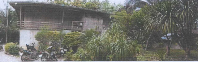 ขายทอดตลาด ที่ดินพร้อมสิ่งปลูกสร้าง ต.คลองศก อ.พนม จ.สุราษฎร์ธานี