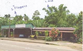 ขายทอดตลาด ที่ดินพร้อมสิ่งปลูกสร้าง ต.ทับเที่ยง อ.เมืองตรัง จ.ตรัง