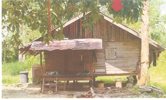 ขายทอดตลาด ที่ดินพร้อมสิ่งปลูกสร้าง ต.โพรงจระเข้ อ.ย่านตาขาว จ.ตรัง
