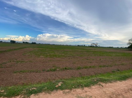ขายทอดตลาด ที่ดินว่างเปล่า ต.โคกกลาง อ.ประทาย จ.นครราชสีมา