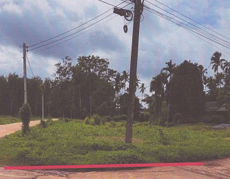 ขายทอดตลาด ที่ดินว่างเปล่า จ.ตรัง