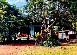 รูปทรัพย์ 2