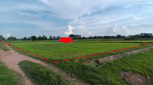 ขายทอดตลาด ที่ดินว่างเปล่า ต.บึงพะไล อ.แก้งสนามนาง จ.นครราชสีมา