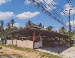 ขายทอดตลาด ที่ดินพร้อมสิ่งปลูกสร้าง จ.ตรัง