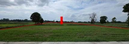 ขายทอดตลาด ที่ดินว่างเปล่า ต.โนนจาน อ.บัวลาย จ.นครราชสีมา