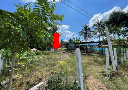 ขายทอดตลาด ที่ดินว่างเปล่า ต.สามเมือง อ.สีดา จ.นครราชสีมา