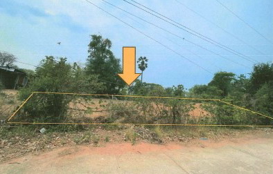 ขายทอดตลาด ที่ดินว่างเปล่า ต.ด่านช้าง อ.บัวใหญ่ จ.นครราชสีมา