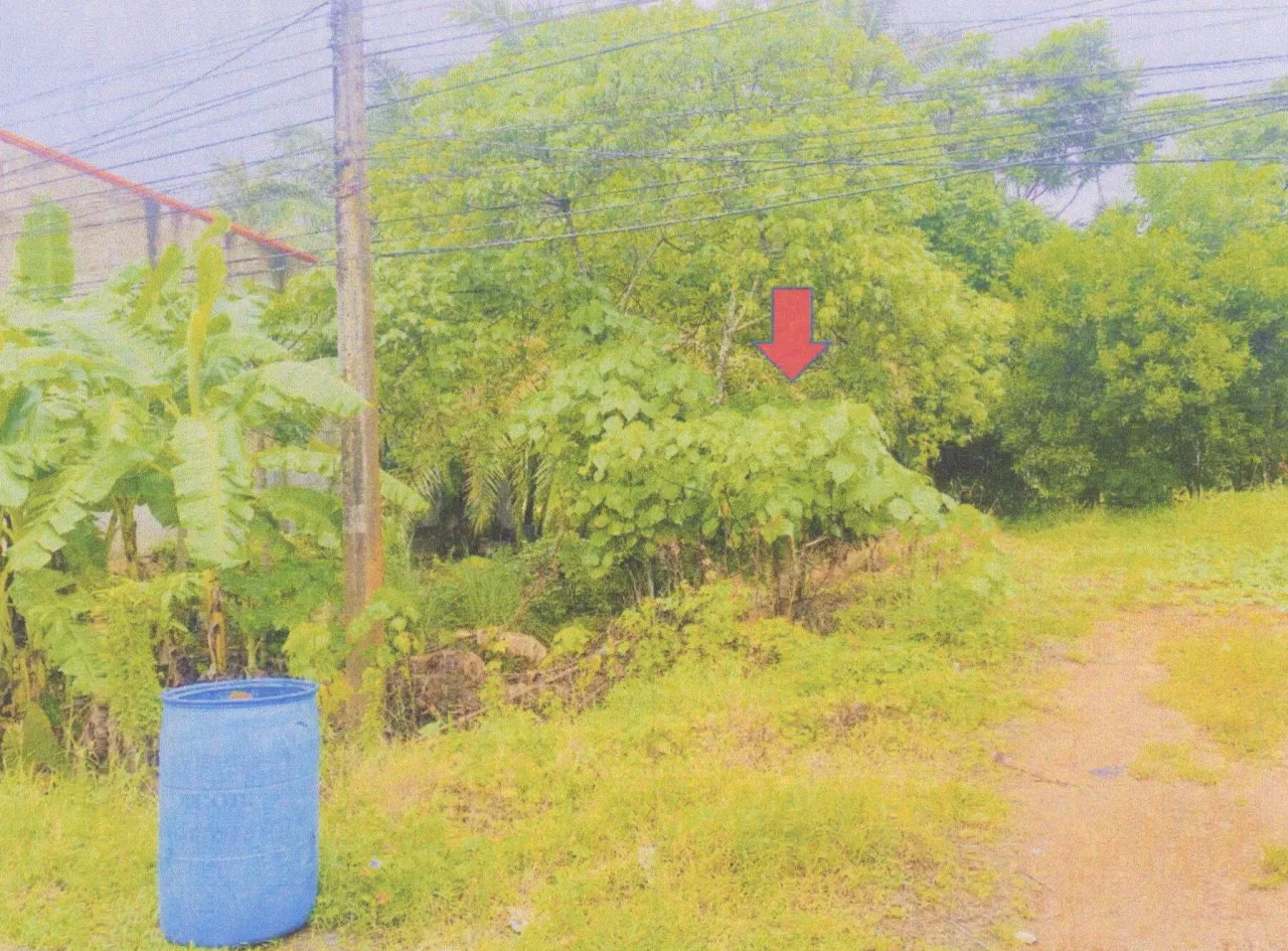 ขายทอดตลาด ที่ดินว่างเปล่า จ.ตรัง