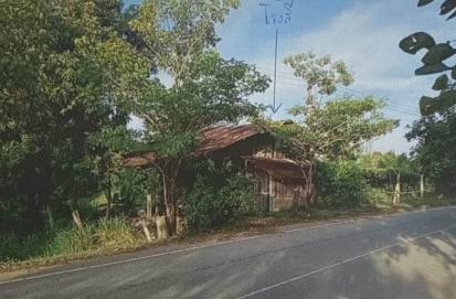 ขายทอดตลาด ที่ดินพร้อมสิ่งปลูกสร้าง ต.หนองบัวสะอาด อ.บัวใหญ่ จ.นครราชสีมา