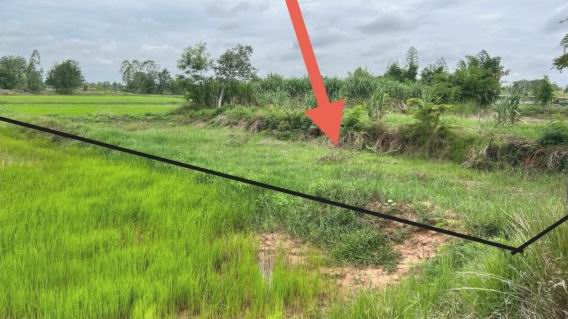 ขายทอดตลาด ที่ดินว่างเปล่า จ.นครราชสีมา