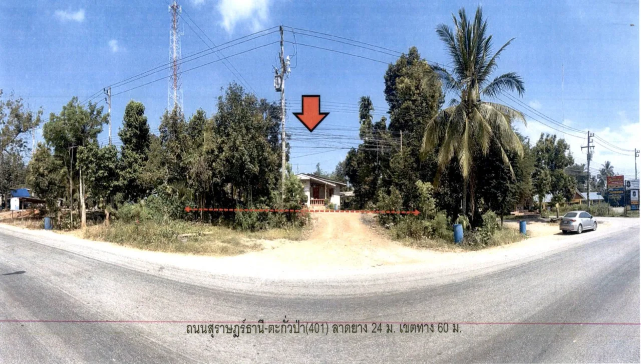 ขายทอดตลาด ที่ดินพร้อมสิ่งปลูกสร้าง ต.ท่าโรงช้าง อ.พุนพิน จ.สุราษฎร์ธานี