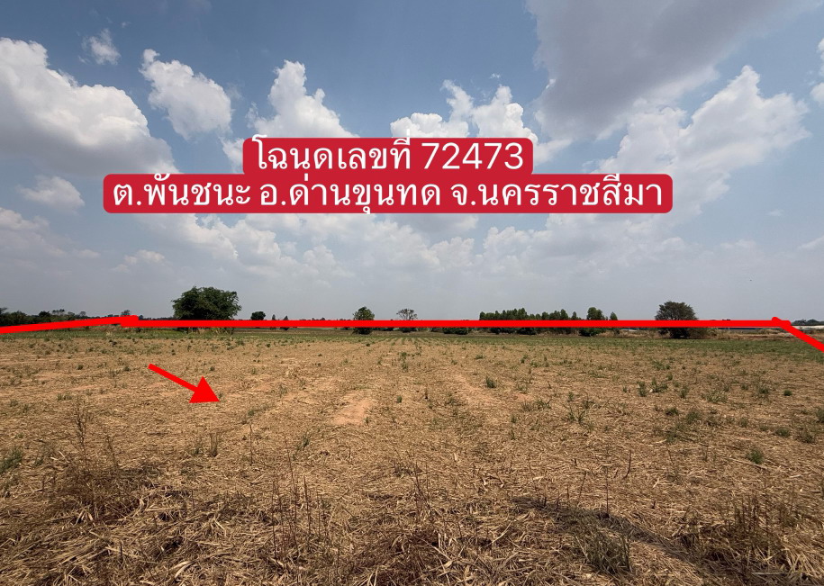 ขายทอดตลาด ที่ดินว่างเปล่า จ.นครราชสีมา