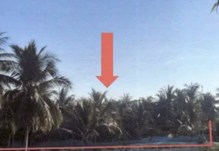 รูปทรัพย์ 3