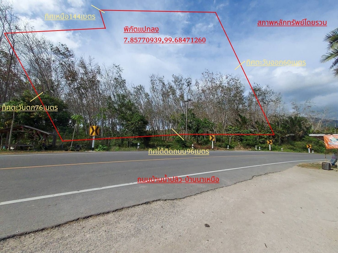 ขายทอดตลาด ที่ดินว่างเปล่า ต.หนองปรือ อ.รัษฎา จ.ตรัง
