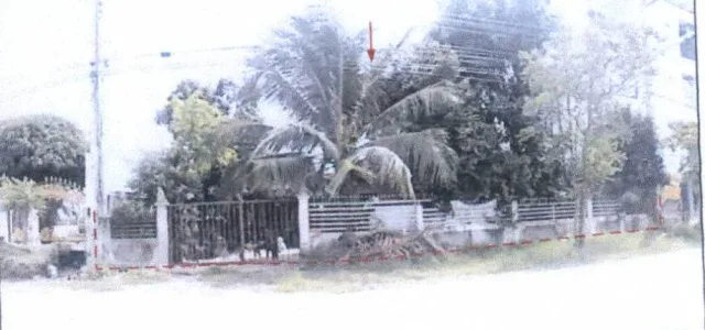 ขายทอดตลาด ที่ดินพร้อมสิ่งปลูกสร้าง ต.สีคิ้ว อ.สีคิ้ว จ.นครราชสีมา