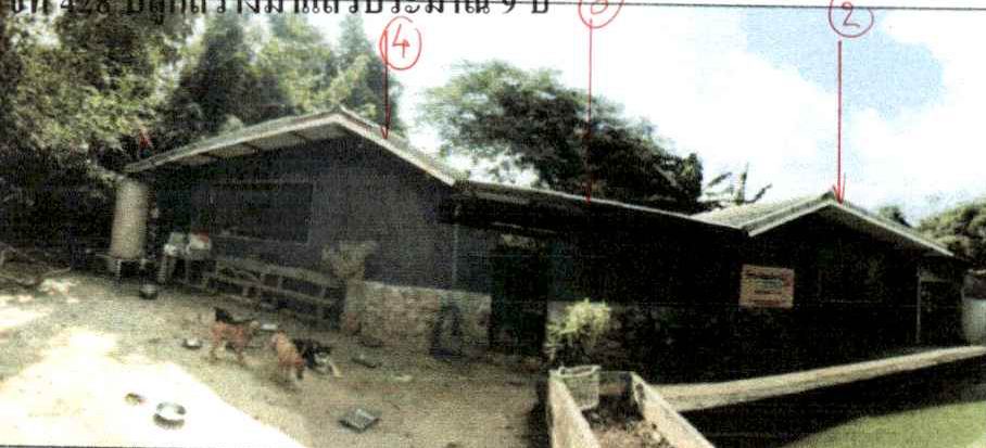 ขายทอดตลาด ที่ดินพร้อมสิ่งปลูกสร้าง ต.พญาเย็น อ.ปากช่อง จ.นครราชสีมา
