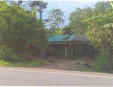 ขายทอดตลาด ที่ดินพร้อมสิ่งปลูกสร้าง ต.หนองช้างแล่น อ.ห้วยยอด จ.ตรัง