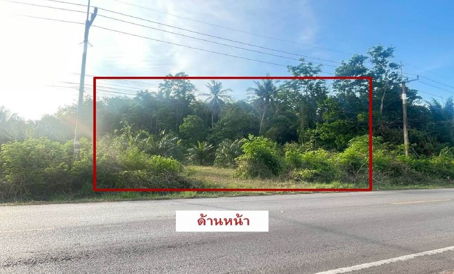 ขายทอดตลาด ที่ดินว่างเปล่า จ.สุราษฎร์ธานี