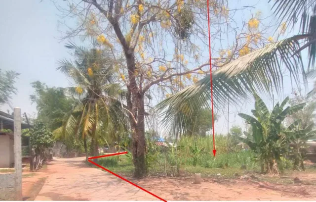 ขายทอดตลาด ที่ดินว่างเปล่า จ.นครราชสีมา