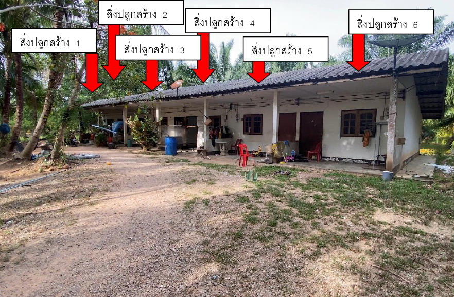 ขายทอดตลาด ที่ดินพร้อมสิ่งปลูกสร้าง ต.ไม้ฝาด อ.สิเกา จ.ตรัง