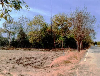 รูปทรัพย์ 2