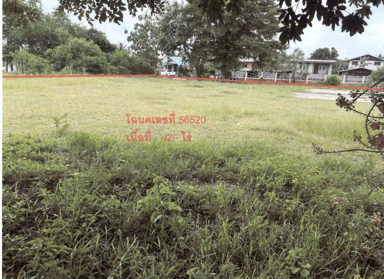 ขายทอดตลาด ที่ดินว่างเปล่า จ.นครราชสีมา