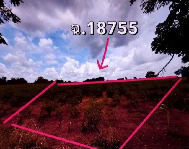 ขายทอดตลาด ที่ดินว่างเปล่า จ.นครราชสีมา