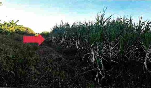 ขายทอดตลาด ที่ดินว่างเปล่า จ.นครราชสีมา