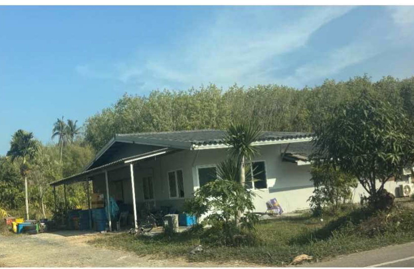 ขายทอดตลาด ที่ดินพร้อมสิ่งปลูกสร้าง ต.ควนปริง อ.เมืองตรัง จ.ตรัง