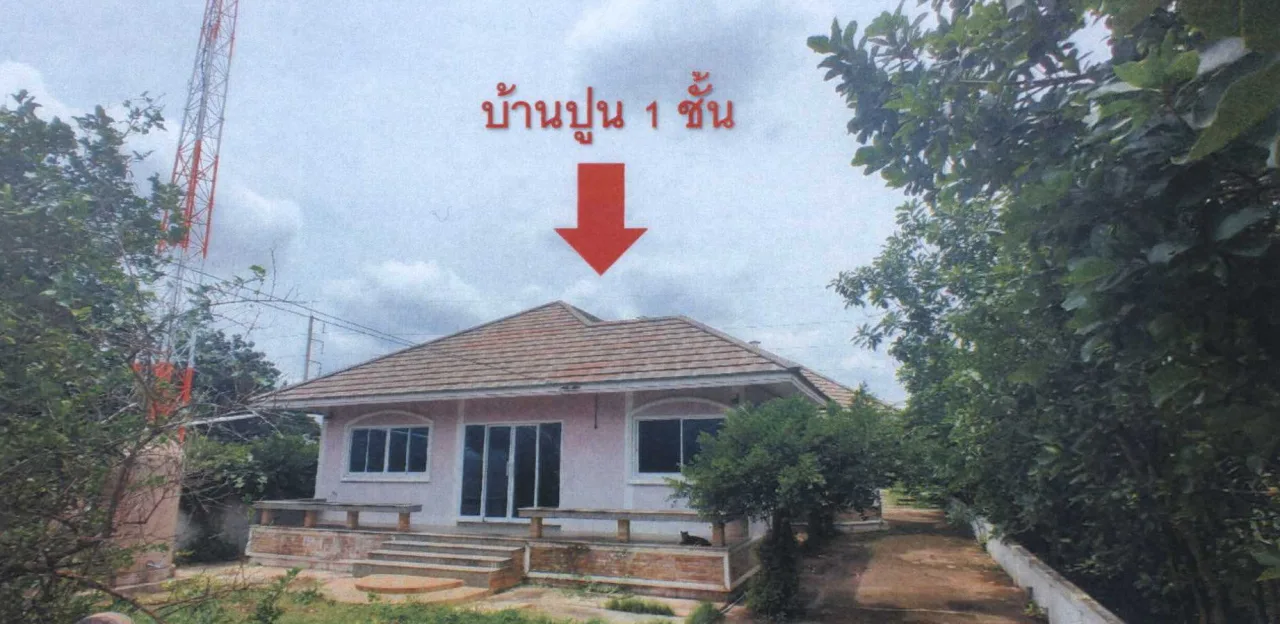 ขายทอดตลาด ที่ดินพร้อมสิ่งปลูกสร้าง ต.ตะเคียน อ.ด่านขุนทด จ.นครราชสีมา