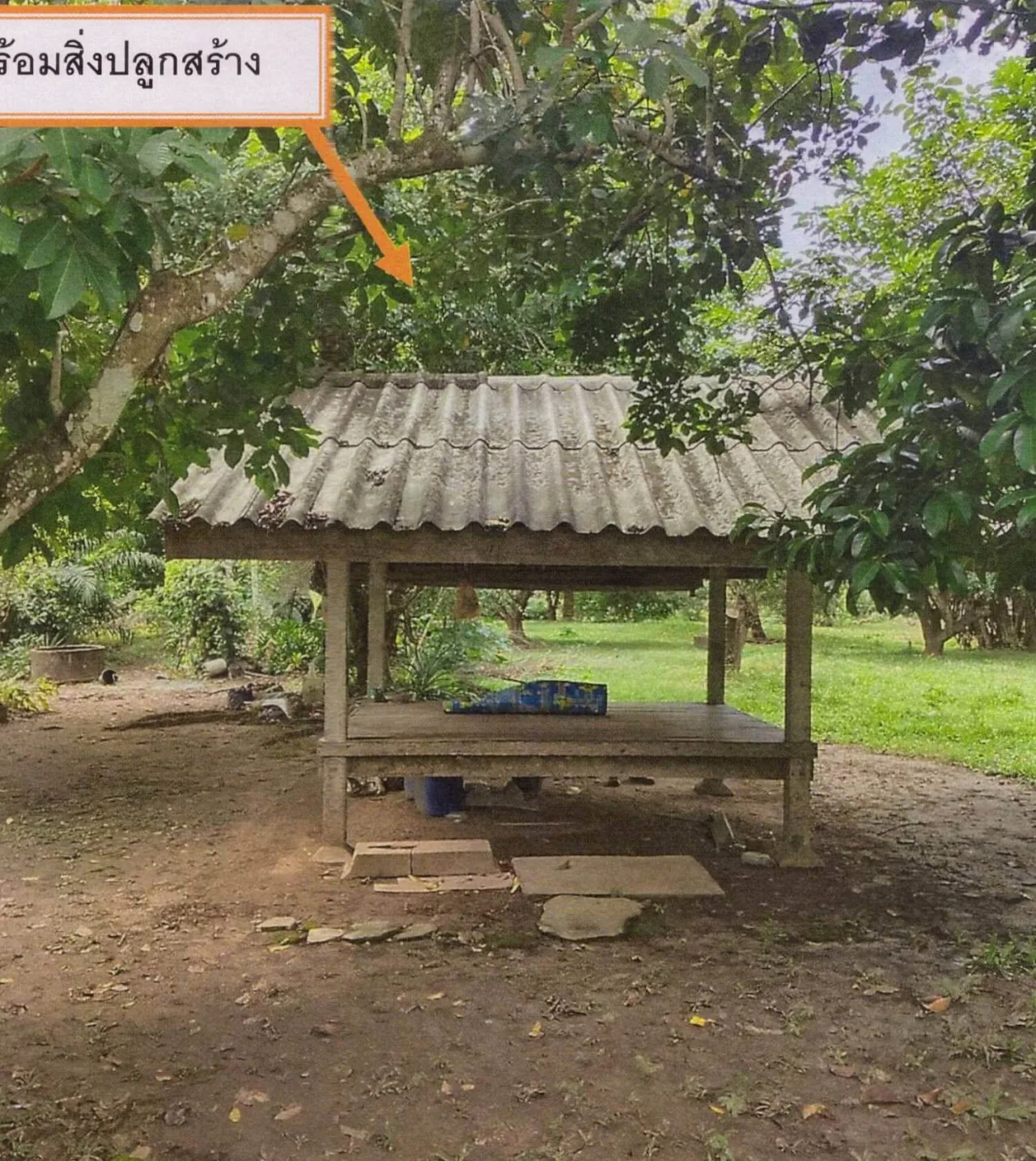 ขายทอดตลาด ที่ดินพร้อมสิ่งปลูกสร้าง ต.เขาวิเศษ อ.วังวิเศษ จ.ตรัง
