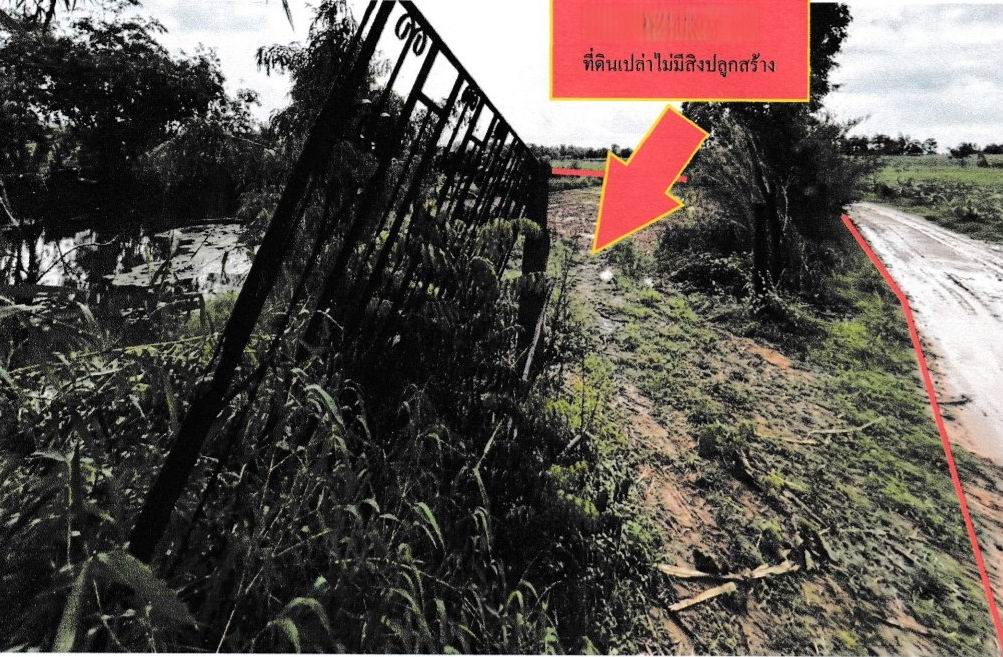 ขายทอดตลาด ที่ดินว่างเปล่า ต.นาแพง อ.กิ่งอำเภอโคกโพธิ์ไชย จ.ขอนแก่น