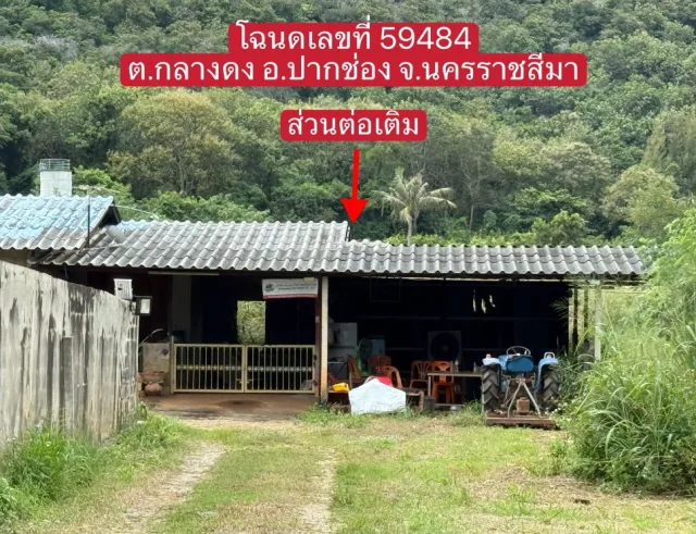 ขายทอดตลาด ที่ดินพร้อมสิ่งปลูกสร้าง ต.กลางดง อ.ปากช่อง จ.นครราชสีมา