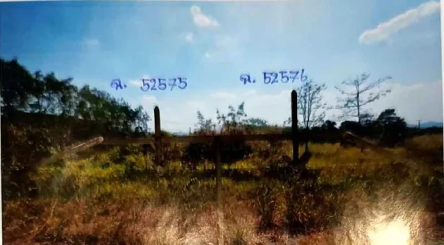 ขายทอดตลาด ที่ดินว่างเปล่า จ.นครราชสีมา