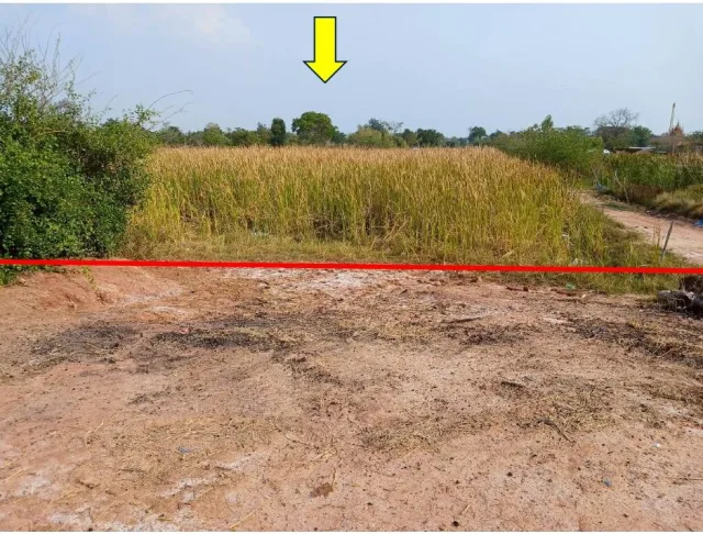 ขายทอดตลาด ที่ดินว่างเปล่า จ.นครราชสีมา