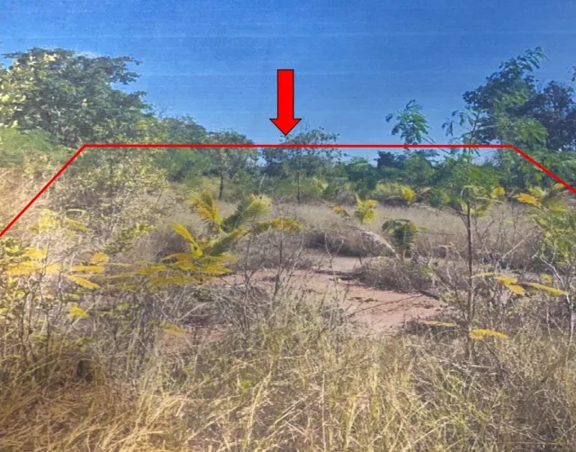 ขายทอดตลาด ที่ดินว่างเปล่า จ.นครราชสีมา