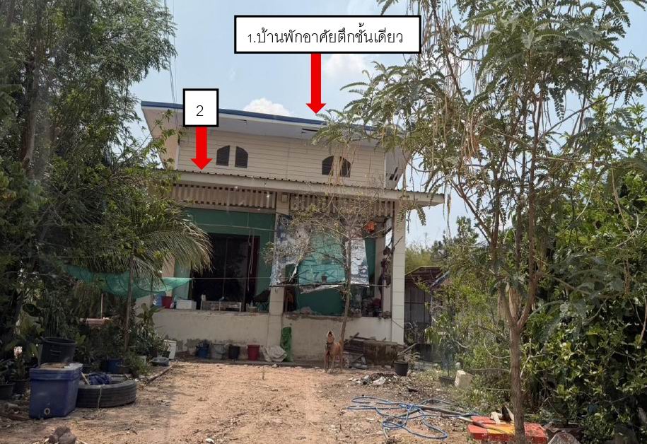 ขายทอดตลาด ที่ดินพร้อมสิ่งปลูกสร้าง ต.หินดาด อ.ด่านขุนทด จ.นครราชสีมา