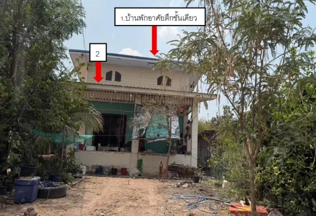 ขายทอดตลาด ที่ดินพร้อมสิ่งปลูกสร้าง ต.หินดาด อ.ด่านขุนทด จ.นครราชสีมา