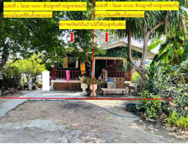 ขายทอดตลาด ที่ดินพร้อมสิ่งปลูกสร้าง ต.หนองสาหร่าย อ.ปากช่อง จ.นครราชสีมา