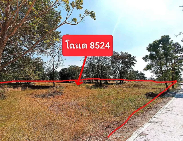 ขายทอดตลาด ที่ดินว่างเปล่า จ.นครราชสีมา
