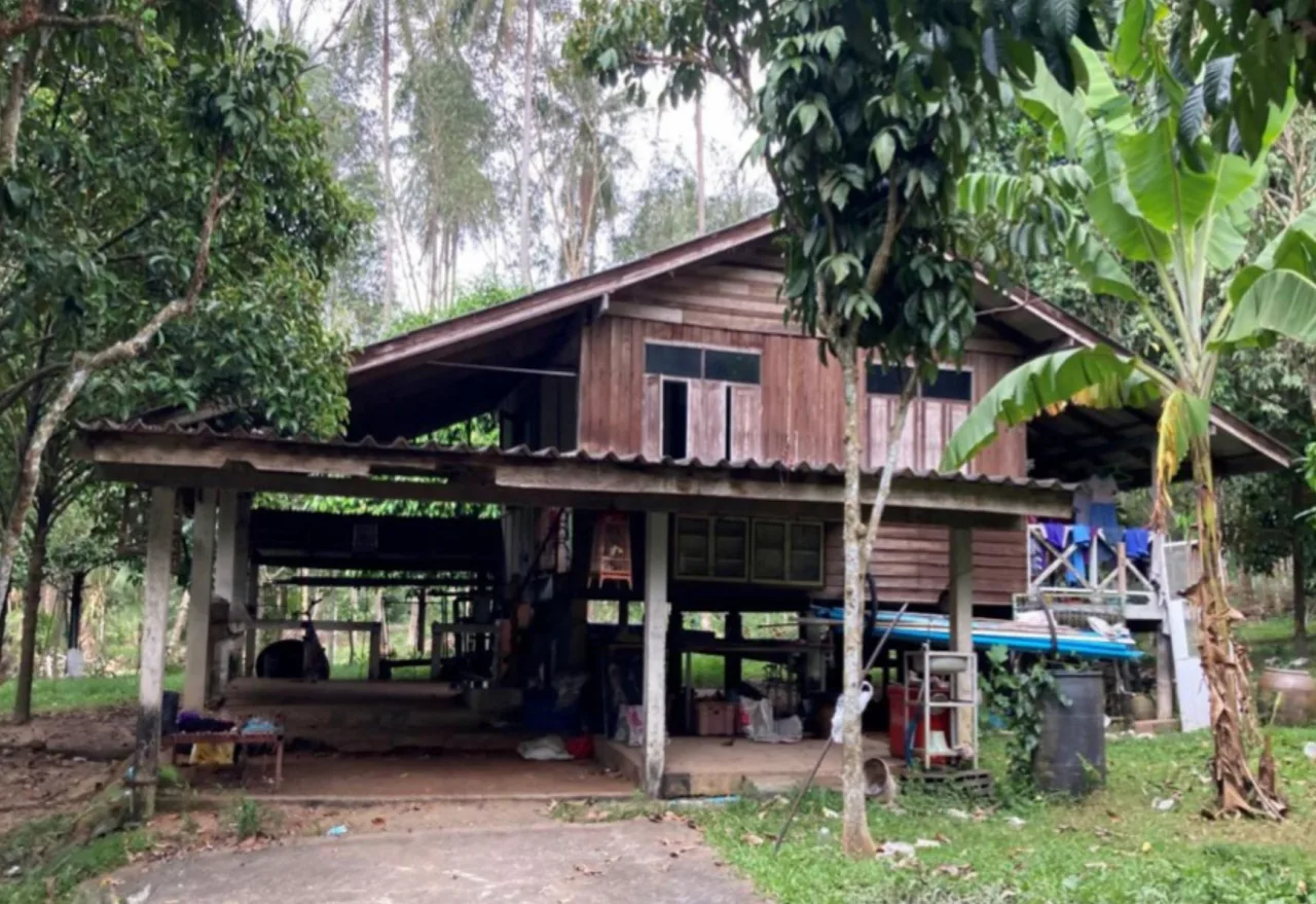 ขายทอดตลาด ที่ดินพร้อมสิ่งปลูกสร้าง ต.ทรายขาว อ.โคกโพธิ์ จ.ปัตตานี